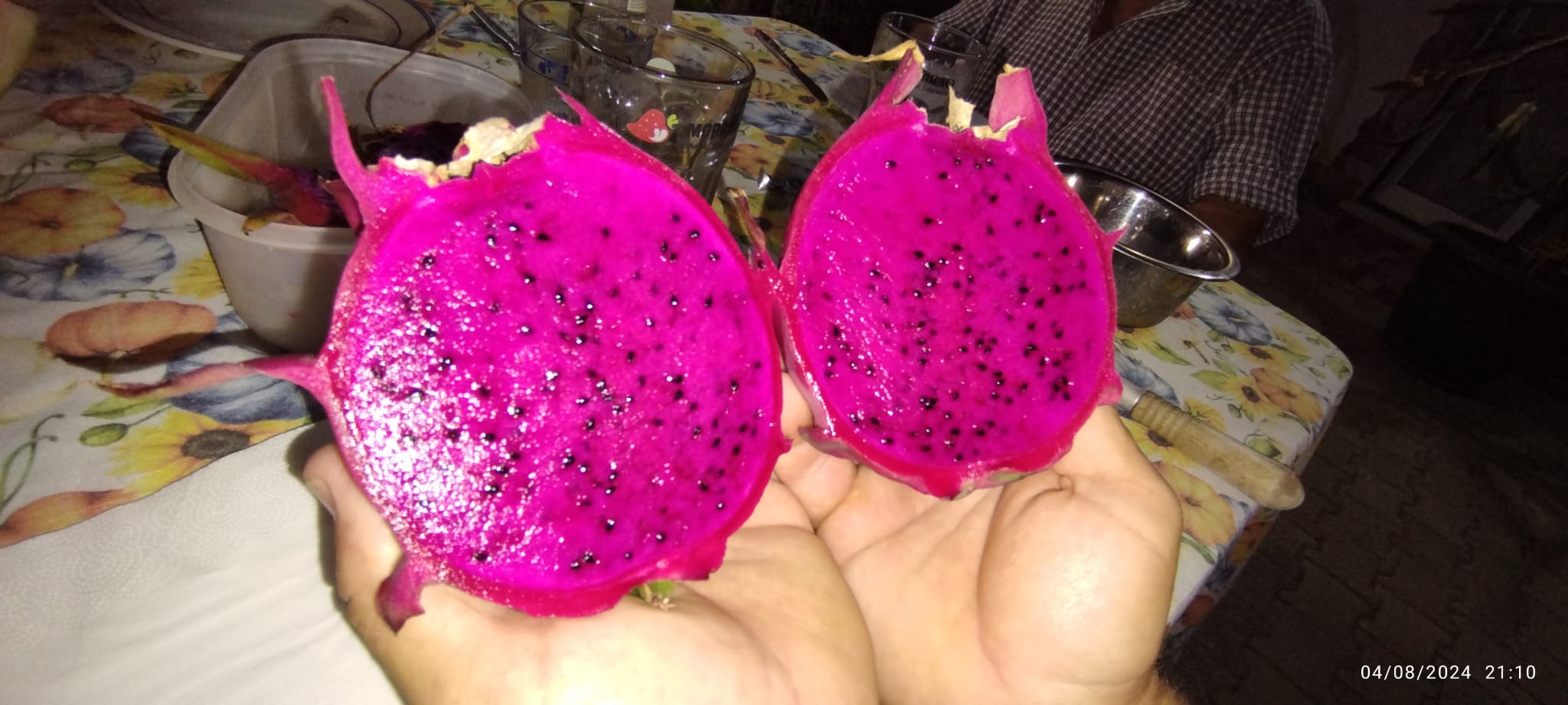 Pitaya