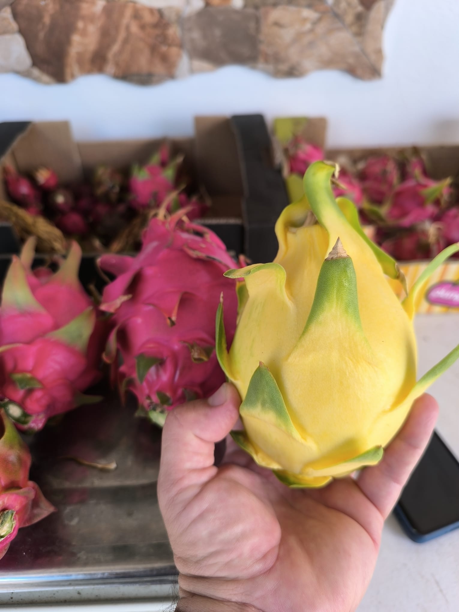 Pitaya