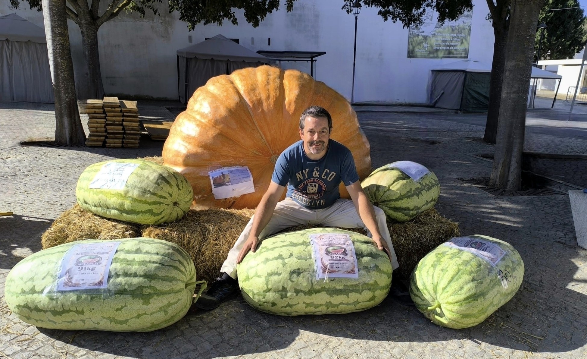 Abóbora Gigante